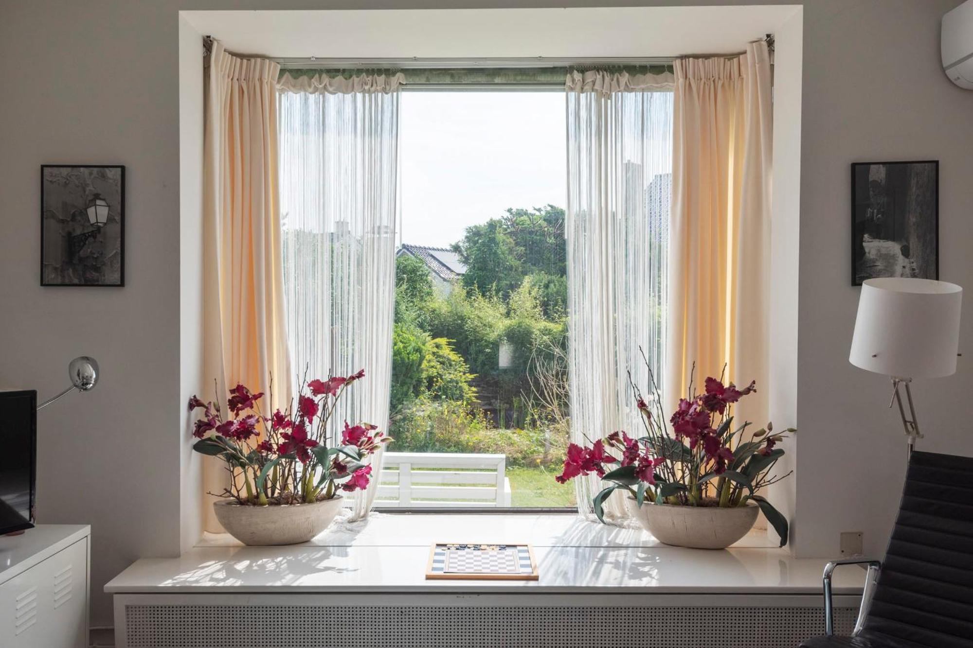 Apartment De Drie Tulpen ซานด์โวร์ต ภายนอก รูปภาพ